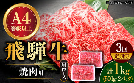 [3回定期便] 飛騨牛 ロース・肩ロース 1kg [TAZ035] ロース 焼肉用 ロース 焼肉用 ロース 焼肉用 ロース 焼肉用