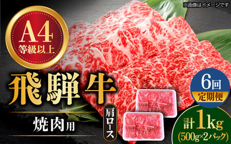 [6回定期便] 飛騨牛 ロース・肩ロース 1kg [TAZ036] 肩ロース 焼肉用 肩ロース 焼肉用 肩ロース 焼肉用 肩ロース 焼肉用
