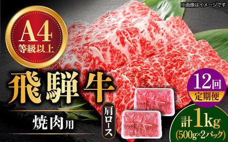 [12回定期便]飛騨牛 焼肉用 ロース・肩ロース 1kg[TAZ037] 飛騨牛 焼肉用 飛騨牛 焼肉用 飛騨牛 焼肉用 飛騨牛 焼肉用