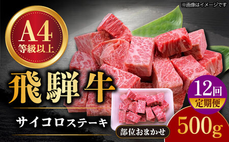 [12回定期便] 飛騨牛 サイコロステーキ 部位おまかせ 500g[TAZ041]定期便 牛肉 定期便 牛肉 定期便 牛肉
