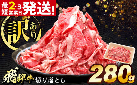 飛騨牛 切り落とし 280g 多治見市 [THG002] 牛 切り落とし 牛 切り落とし 牛 切り落とし 牛 切り落とし
