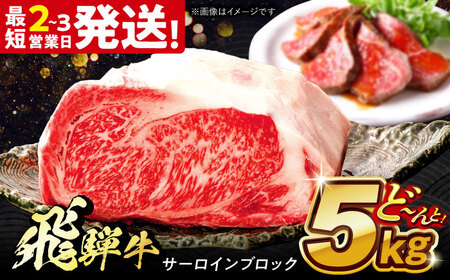 飛騨牛 極上 サーロイン ブロック 5kg 多治見市 / 養老ミート 冷凍 和牛 ギフト
