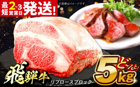 飛騨牛 極上 リブロース ブロック 5kg 多治見市 / 養老ミート 冷凍 和牛 ギフト