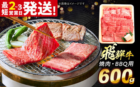 飛騨牛 焼肉 BBQ用 600g[THG016] 焼肉 焼肉 焼肉 焼肉 焼肉 焼肉