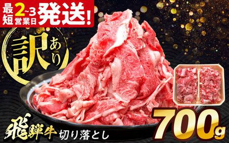 飛騨牛 切り落とし 700g[THG001] 切り落とし 切り落とし 切り落とし 切り落とし