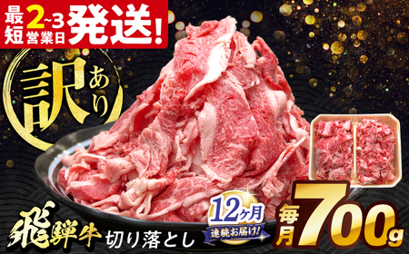 y12ցz ˋ ؂藎Ƃ 700g s / {V~[g Ⓚ Ԑg a 󂠂 Mtg[THG019]