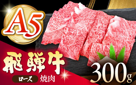 s①t yA5z ˋ [X ē 300g s / ̉ A5  Mtg 蕨[THI001]