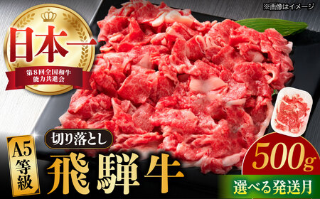 y1zyˋz ؂藎Ƃ 500g a uh Y  s / nӐX [TAZ004-1]