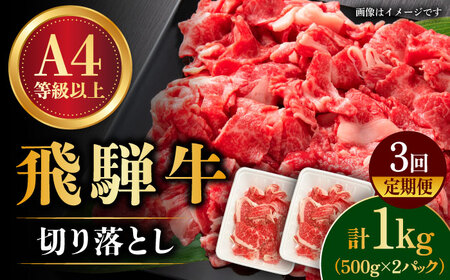 [3回定期便]飛騨牛切り落とし 1kg 多治見市/肉の丸長 和牛 切り落し 小分け 薄切り 肉じゃが 牛丼 カレー ビーフシチュー 切り落とし スライス すき焼き しゃぶしゃぶ うす切り 牛肉 飛騨牛 定期便 ギフト 贈答 贈り物 送料無料 