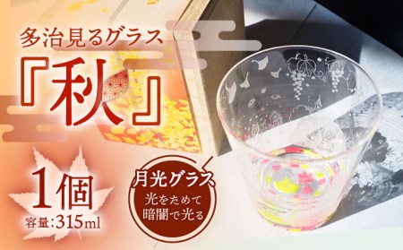 蓄えた光を暗闇で放つ 幻想的なグラス 多治見るグラス 『秋』　多治見市/片岡ケース製作所 コップ サンドブラスト 食器 グラス 日本酒 冷酒 晩酌 家飲み 宅飲み おしゃれ 日本製 桐箱 ギフト プレゼント 贈答 贈り物 送料無料 [TAH004]