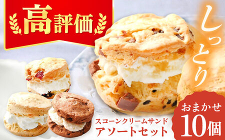  スコーンクリームサンド アソートセット 10P 多治見市/famfam スコーン 洋菓子 個包装 詰め合わせ 詰合せ おまかせ スイーツ デザート クリーム 焼き菓子 セット 朝食 おやつ ティータイム 手土産 冷凍 送料無料 母の日 父の日 プレゼント ギフト 贈答 贈り物 [TAK005]
