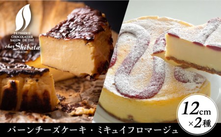 ＼名店の味を食べ比べ／ チーズケーキ 2種セット 多治見市 / シェ・シバタ スイーツ デザート チーズ ケーキ チーズケーキ お菓子 ケーキセット 2個 バーンチーズケーキ ミキュイフロマージュ クリームチーズ ベイクドチーズケーキ バスクチーズ レアチーズケーキ バレンタインデー ホワイトデー 贈り物 贈答 ギフト プレゼント 岐阜県 多治見 有名 人気 シェシバタ 柴田シェフ 送料無料 [TDH001]