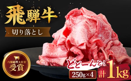 ＼贅沢な味わいをご家庭で／ 【飛騨牛】切り落とし 1kg (250g×4)【肉のひぐち】 国産 ブランド牛 和牛 BBQ キャンプ  [TDC013]