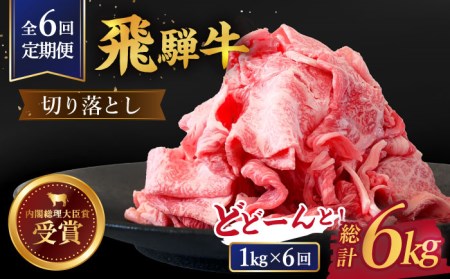  【6回定期便】【飛騨牛】切り落とし 総計6kg 〈1回あたり〉1kg (250g×4) [TDC015]飛騨牛 切り落とし 飛騨牛 切り落とし 飛騨牛 切り落とし 