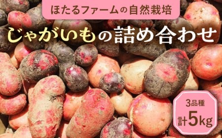 ※数量限定※[先行予約]自然栽培のじゃがいも 3種 約5kg 多治見市 / ほたるファーム 農家直送 芋 詰め合わせ 詰合せ カラフルじゃがいも ジャガイモ 自然栽培 新鮮 おいしい 旬 野菜 季節 限定 送料無料 