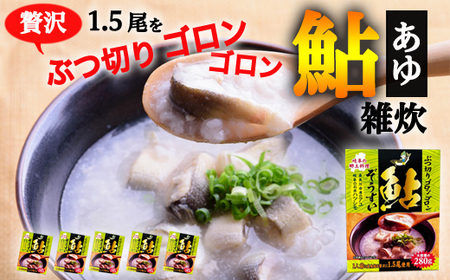 ぶつ切りゴロンゴロン鮎ぞうすい 280g×5箱セット