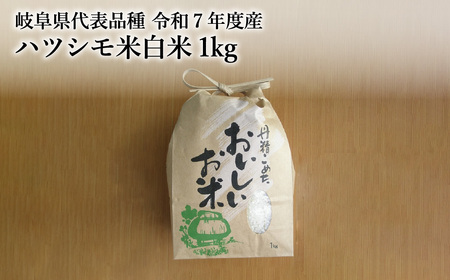 [岐阜県代表品種] 令和7年産 ハツシモ米 白米1kg S20 [12月1日以降順次発送]