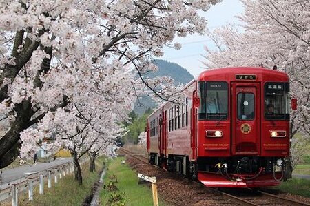 観光列車 「ながら」 ランチプラン 予約 乗車券 (シングル) T42-05