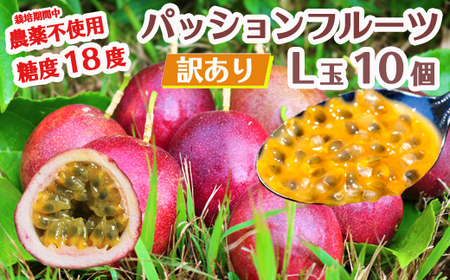 数量限定 糖度18度 パッションフルーツ果実 10個入り 国産 くだもの 果実 果肉 ビタミンC カリウム 食物繊維 栄養豊富 栄養満点 甘味 酸味 甘い 旬のフルーツ トロピカルフルーツ 南国フルーツ[7月下旬〜10月下旬に順次発送]