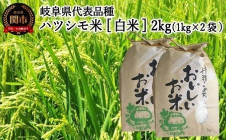 [岐阜県代表品種] 令和7年産 ハツシモ米 [白米]2kg(1kg×2袋) S19 [12月以降順次発送]