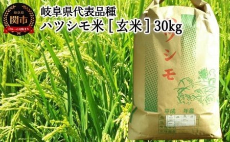 【岐阜県代表品種】　令和5年産　ハツシモ米　【玄米】30ｋｇ　L6 G30-08