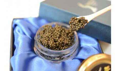 中津川キャビア S Caviar オシェトラ(ロシアチョウザメ) 60-002
