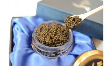 ÐLrA S Caviar IVFgiVA`EUj F4N-1210