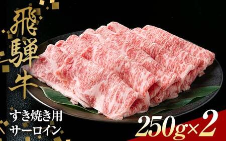 ˋ ₫p T[C 250g×2 Ԑg  XCX F4N-1639