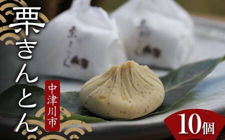 ＜加子母の里 仁太郎＞栗きんとん10個入 栗 くり 栗きんとん おやつ 菓子 和菓子 デザート スイーツ F4N-1778