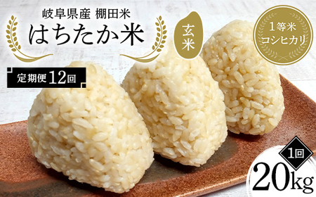 y12ցz򕌌Y Ic 1ăRVqJ ͂ 20kgi10kg×2܁j F4N-2650