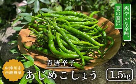 [飛騨・美濃伝統野菜][数量限定]2026年予約販売 爽やかな辛味 青唐辛子 あじめこしょう 中津川産 1.5kg