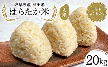 򕌌Y Ic 1ăRVqJ ͂ 20kgi10kg×2܁j F4N-2640