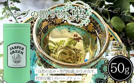 n[ȗ蕨`t` F4N-2380