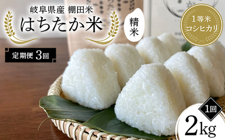 [3回定期便]令和7年産 岐阜県産 棚田米 1等米コシヒカリ はちたか米 精米2kg