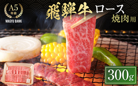 飛騨牛ロース 焼肉用 300g 飛騨牛 A5等級 和牛 黒毛和牛