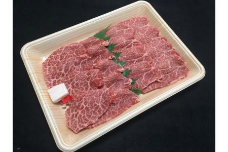 肉の芸術品」飛騨牛焼肉用400g 焼肉 バーベキュー BBQ 13030 | 岐阜県 ...