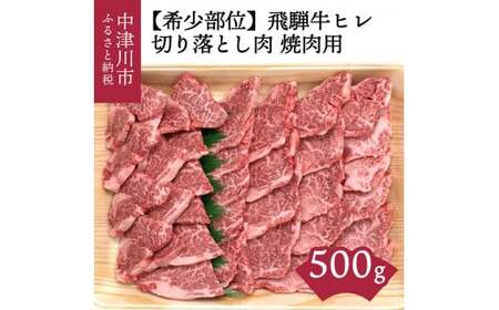 [希少部位]「肉の芸術品」飛騨牛ヒレ切り落とし肉焼肉用500g