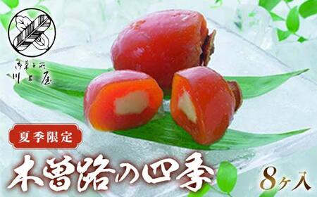 御菓子所 川上屋(夏季限定) 木曽路の四季 13-034