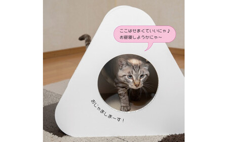 猫のつめとぎ+House「さんかく」(ぷらすはうすさんかく)