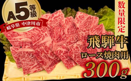 牛肉網焼き用の返礼品 検索結果 | ふるさと納税サイト「ふるなび」