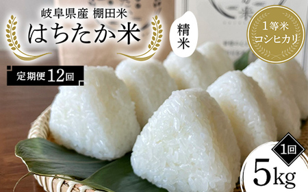 y12ցz򕌌Y Ic 1ăRVqJ ͂ 5kg F4N-2586