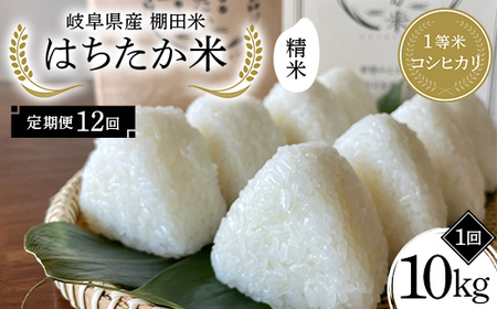 y12ցz򕌌Y Ic 1ăRVqJ ͂ 10kgi5kg×2܁j F4N-2597