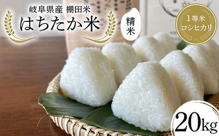 򕌌Y Ic 1ăRVqJ ͂ 20kgi10kg×2܁j F4N-2598