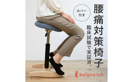 バランス シナジー(カバー付き)スクエアシート インテリア 家具 腰が痛くなりにくい 腰痛対策椅子 椅子 腰痛持ち 腰痛対策 座り仕事 本体:グレー+カバー:ブラウン