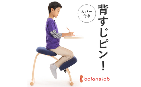 椅子 バランスイージー カバー付き 選べる フレーム カラー 姿勢矯正 インテリア 家具 ショートレッド+レッド