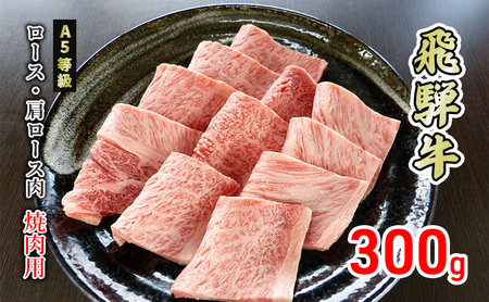 牛肉 飛騨牛 焼き肉 ロース 又は 肩ロース 300g 黒毛和牛 A5 美味しい お肉 牛 肉 和牛 焼肉 BBQ バーベキュー [岐阜県美濃市]