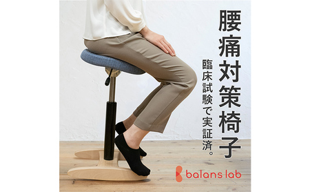 バランス シナジー(カバーなし) デザインチェア インテリア 工芸品 背筋 イス 7段階調整 スクエアシートグレー