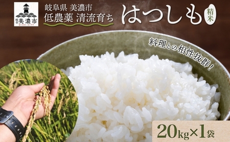 [先行予約]令和7年産 低農薬 清流育ち はつしも 精米 20kg×1袋 計20kg 新米 お米 精白米 白米 米 ごはん 米 ご飯 ハツシモ あっさり ブランド米 大粒 美濃グリーン 岐阜県 美濃市