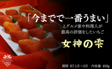 「今までで1番旨い」とグルメ家がうなったイチゴ[女神の雫]/2025年1月から3月/450g/岐阜県/美濃市/じゅん農産/1