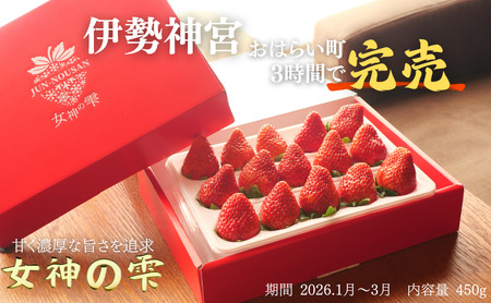 [伊勢神宮おはらい町で3時間で完売]グルメ家が「今までで1番旨い」とうなったイチゴ[女神の雫] 2026年1月 2月 3月 4月 450g 岐阜県 美濃市 じゅん農産 2 苺